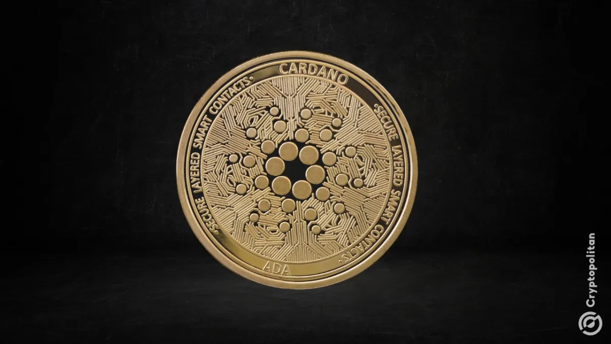 Giorgio Zinetti покидает пост CTO Cardano Foundation в августе 2026 года