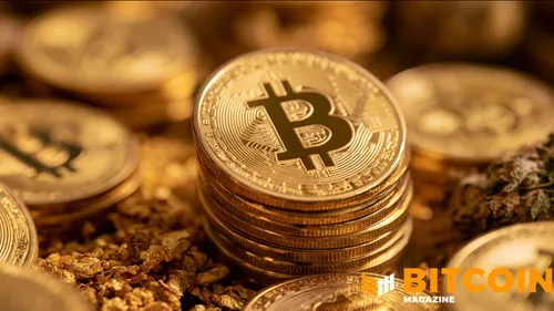 Инвестиционные гиганты раскрыли крупные вложения в Bitcoin и ETF